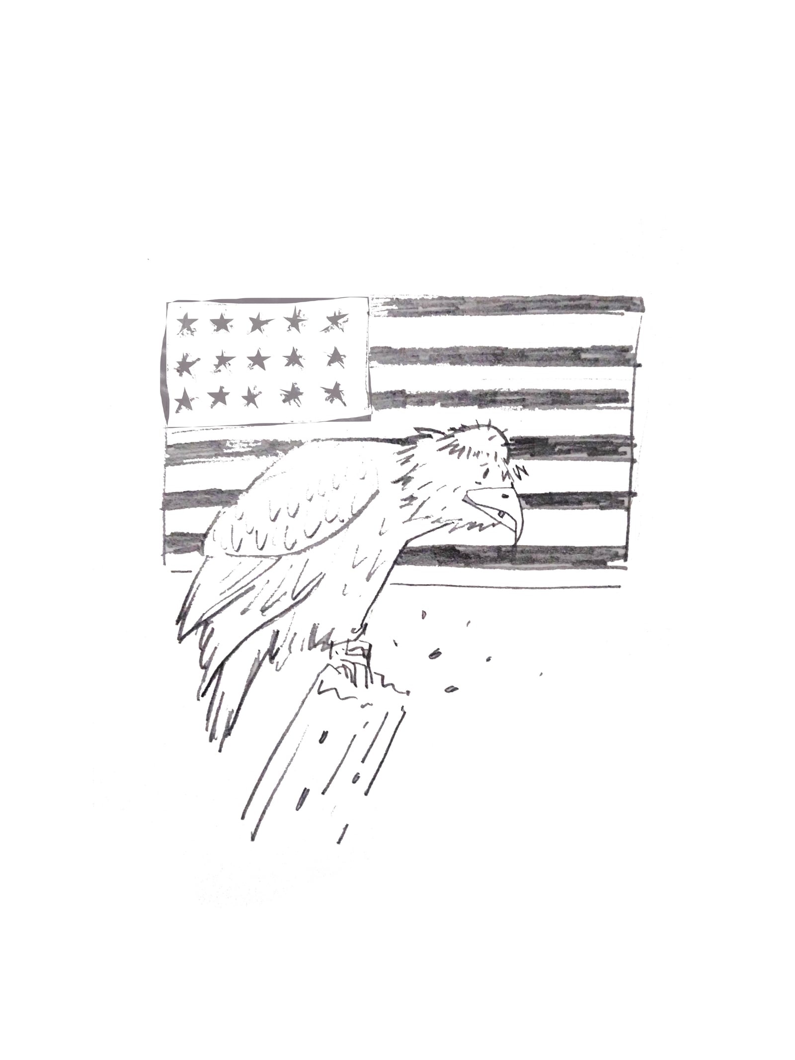 Pen illustration of a bald eagle in front of an American flag