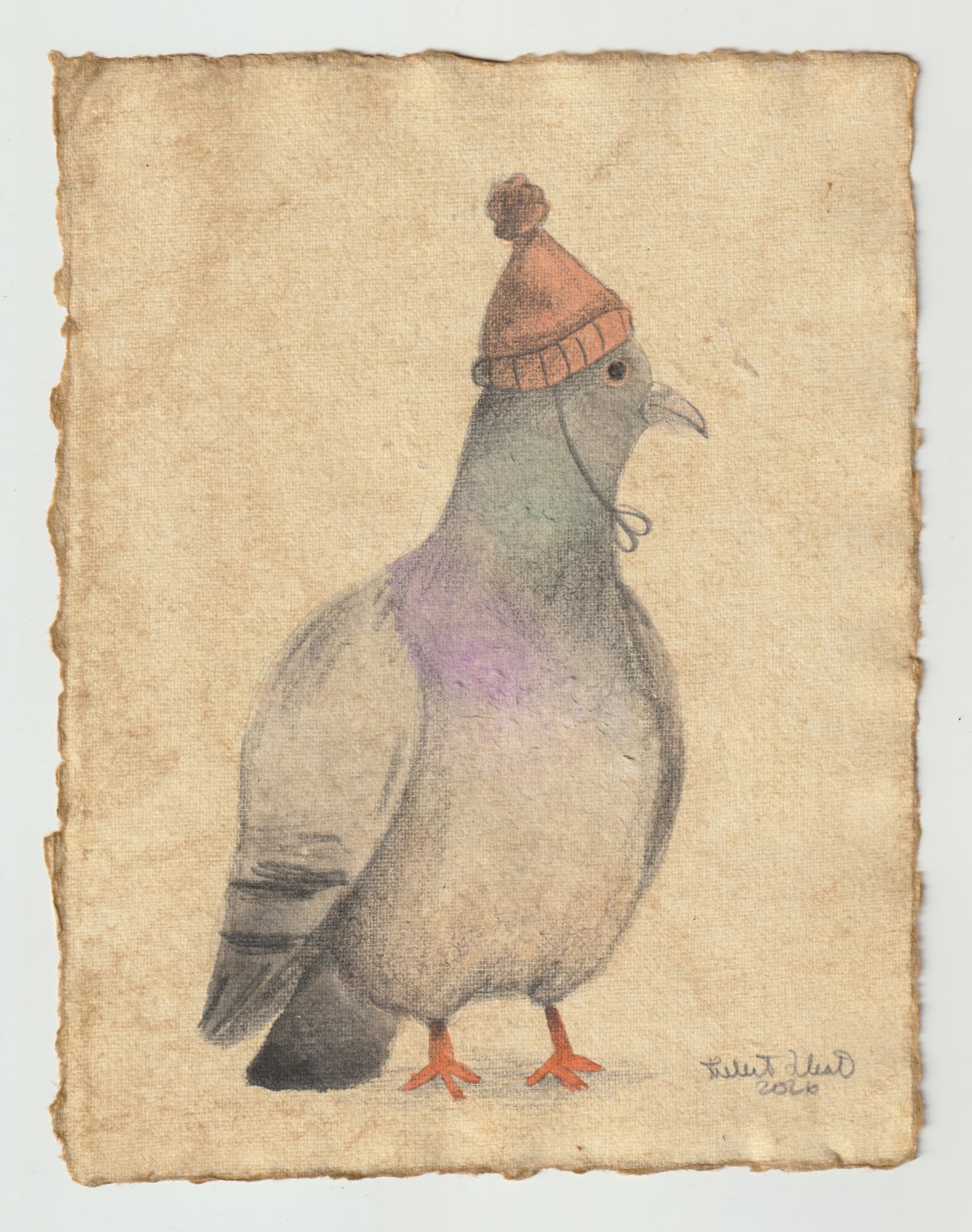 Colored pencil drawing of a pigeon wearing a knit beanie