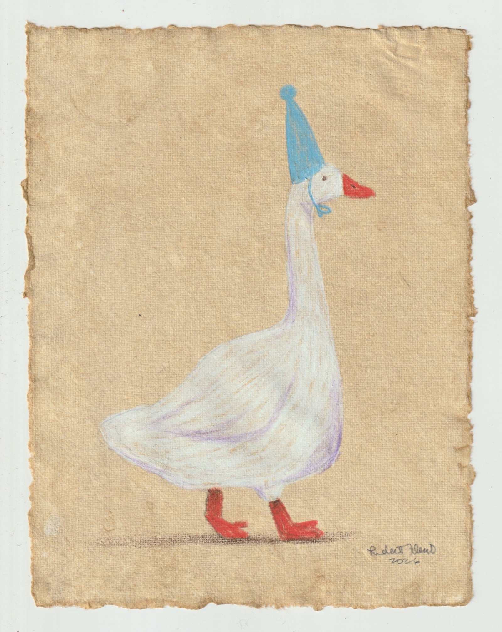 Duck Blue Knit Hat Colored Pencil Drawing illustration by Robert Filiuta