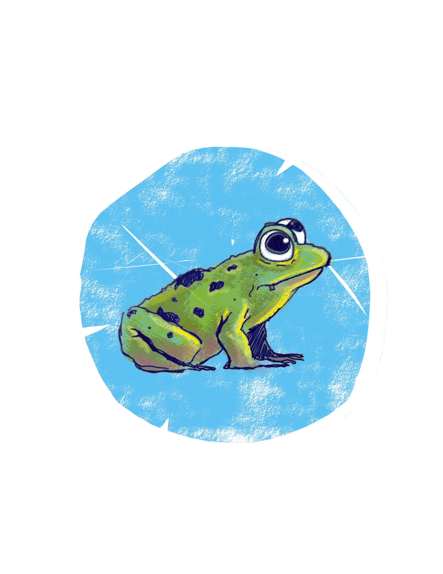 Froggy fine art print