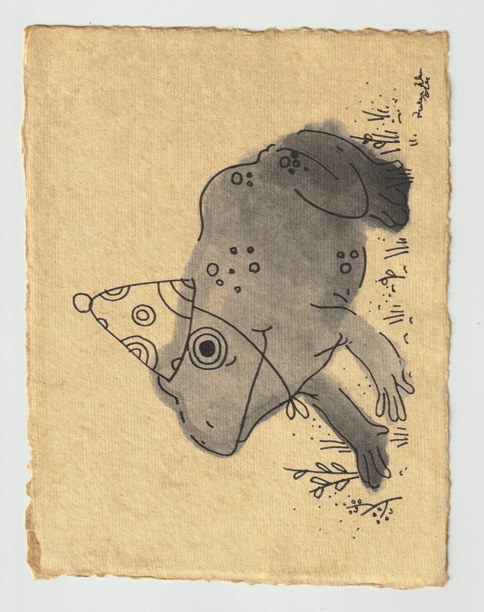 Pary Frog illustration by Robert Filiuta