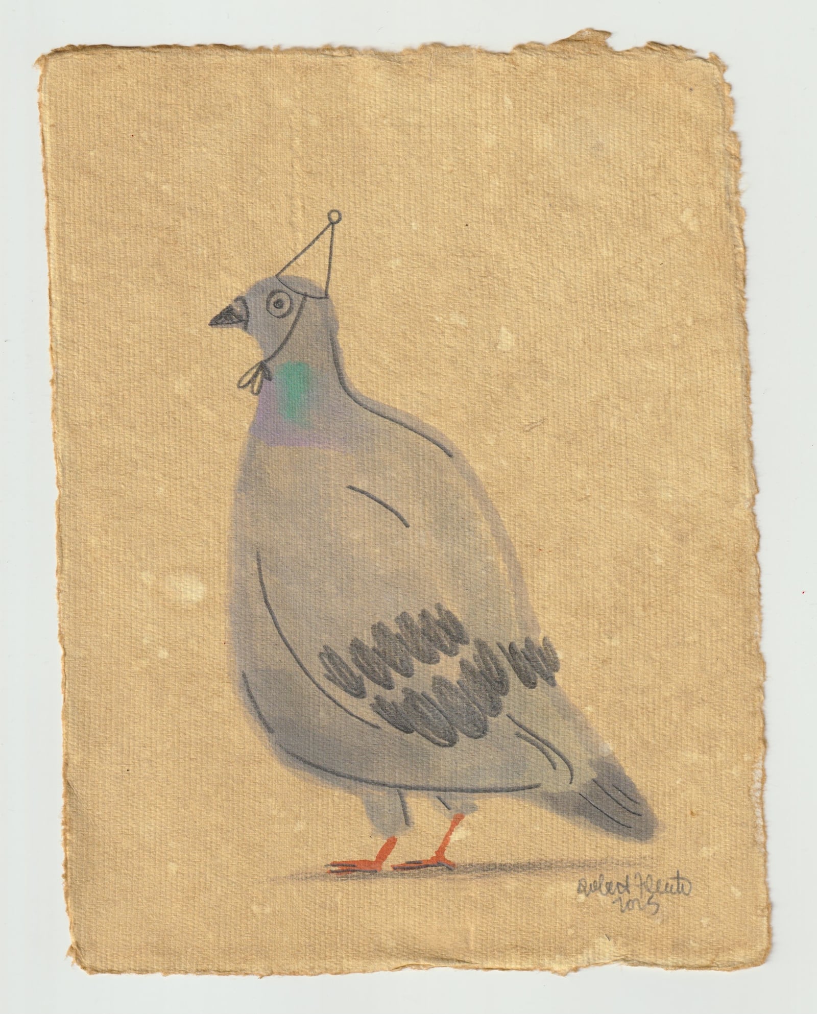 Pigeon Party Hat illustration by Robert Filiuta