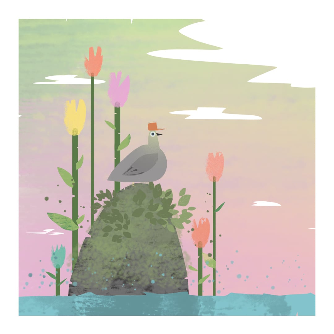 Pigeon illustration by Robert Filiuta